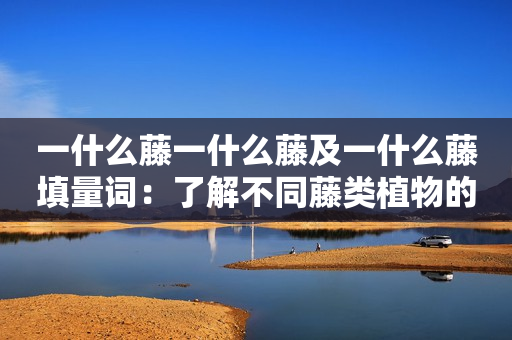 一什么藤一什么藤及一什么藤填量词：了解不同藤类植物的特点及适宜填充物