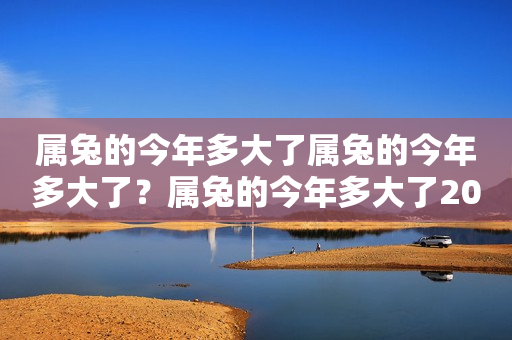 属兔的今年多大了属兔的今年多大了？属兔的今年多大了2023年？详细解读