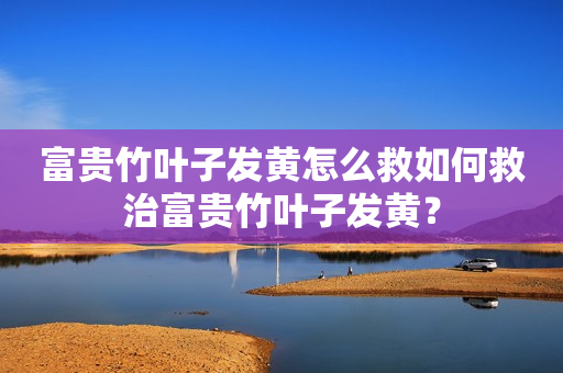 富贵竹叶子发黄怎么救如何救治富贵竹叶子发黄？