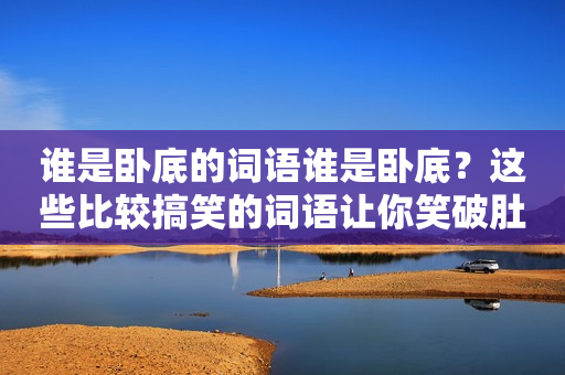 谁是卧底的词语谁是卧底？这些比较搞笑的词语让你笑破肚皮！