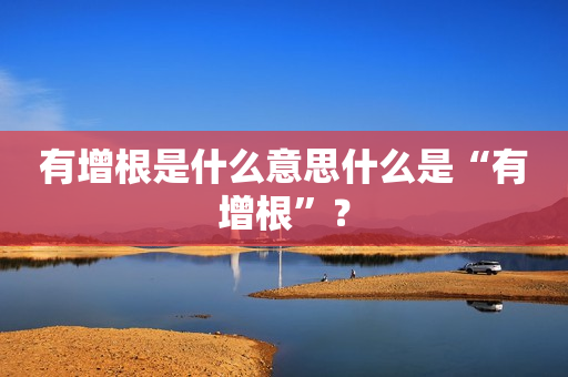 有增根是什么意思什么是“有增根”？