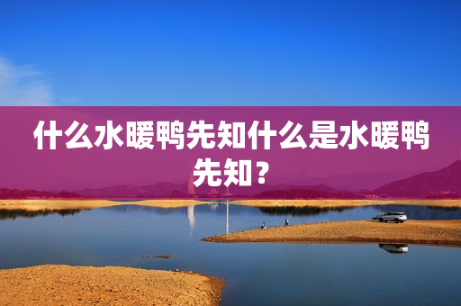 什么水暖鸭先知什么是水暖鸭先知？