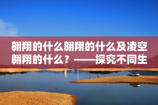 翱翔的什么翱翔的什么及凌空翱翔的什么？——探究不同生物的飞行方式