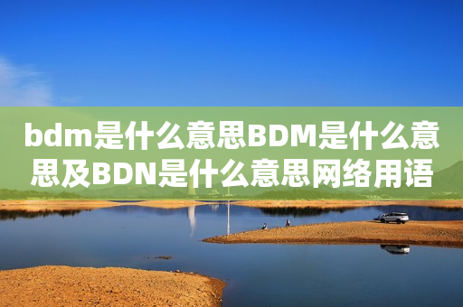 bdm是什么意思BDM是什么意思及BDN是什么意思网络用语