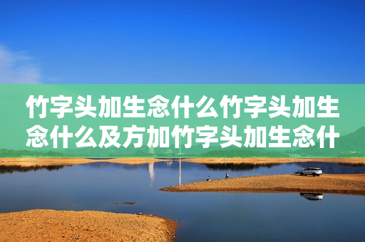 竹字头加生念什么竹字头加生念什么及方加竹字头加生念什么