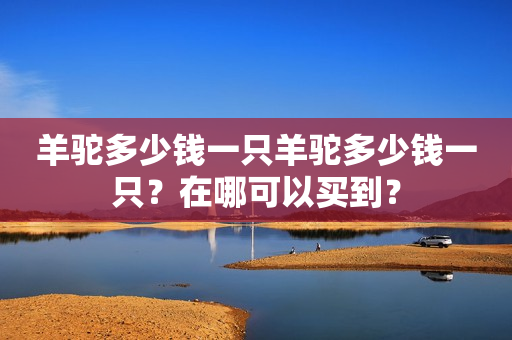 羊驼多少钱一只羊驼多少钱一只？在哪可以买到？