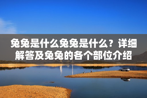 兔兔是什么兔兔是什么？详细解答及兔兔的各个部位介绍